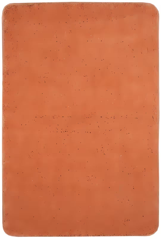 Ciglasta WC preproga Optima od mikrovlakana s protukliznom obradom.