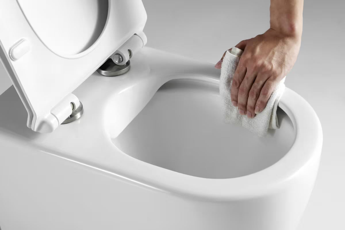 Viseči WC set SAT pro za predzidnu ugradnju z gumbom u mat bijeloj boji i sa sjedalom mehko Zapiranje Soft Close