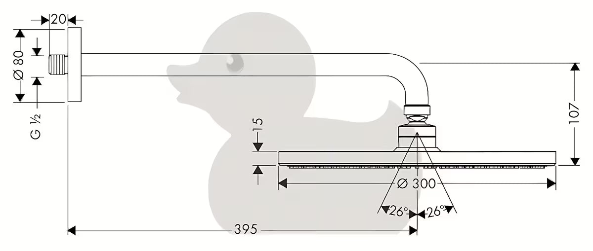Kromirana nadglavna prha Hansgrohe Raindance S 300 mm vključno s pršnim ročajem pro za stensko montažo.