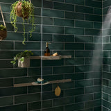 Bež pršna polica hansgrohe wallstoris Planet Edition pro za odlaganje šampona in pršnih potrebščin