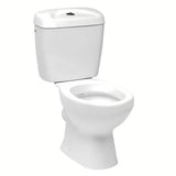 Beli WC monoblok Multi Eur v klasičnem slogu z zadnjim odtokom in mehanizmom DualFlush