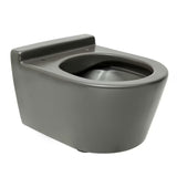 Viseča WC Školjka Roca Inspira v mat barvi oniks z brezrobno izvedbo Rimless in skritim pritrjevanjem.