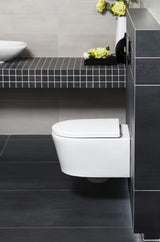 Viseči WC set SAT Brevis s podometnim modulom, splakovalno tipko in sedežem mehko Zapiranje Soft Close