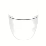 Viseči WC set SAT Fusion s vrtložnim ispiranjem, ugradbenim modulom, vodokotlićem i tipkom u mat bijeloj boji