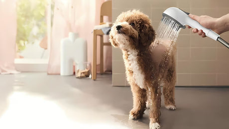 Bijela tuš ročka pro za pse s 4 funkcije i dugim masažnim izbočinama