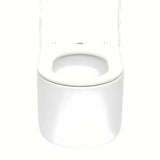 Viseči WC set SAT za ugradnju s modulom i vodokotlićem TECE, bijelom tipkom TECE base i sjedalom mehko Zapiranje Soft Close.