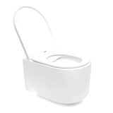 Viseči WC set SAT s ugradbenim modulom, vodokotlićem TECE i duroplast sjedalom sa mehko Zapiranje Soft Close
